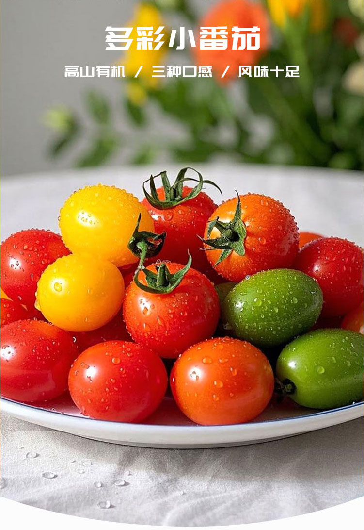 多彩小番茄_02.jpg