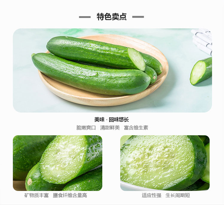 水果黄瓜_03.jpg