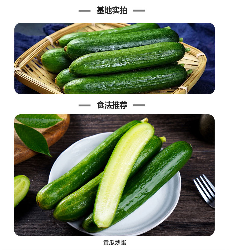 水果黄瓜_06.jpg